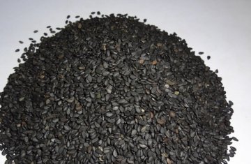 饮食养生：名中医最推荐的9种长寿食物