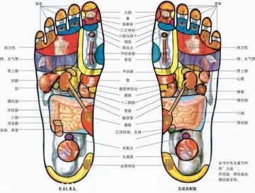 脚掌穴位图