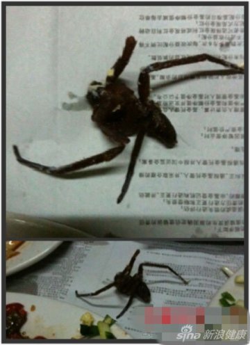3.蜘蛛