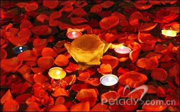 暖春最IN四种鲜花护肤法