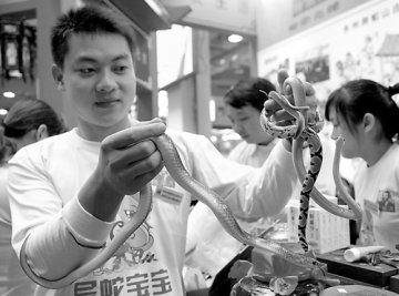 是药品还是保健品？武夷山蛇产品“自由”太久了