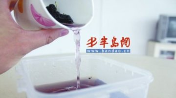 桑葚疑遭色素染色洗涤数次水仍发紫