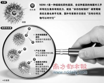 粤5医院定点收治“超级病菌”