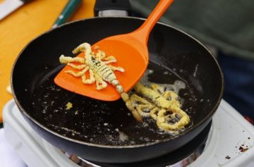 盘点：世界各地的“非主流”食物