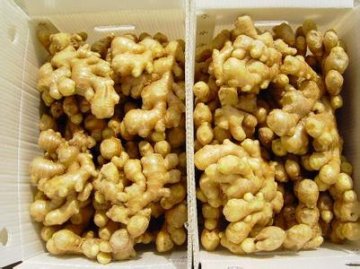 生姜10大神奇功效堪：能治疗口腔溃疡