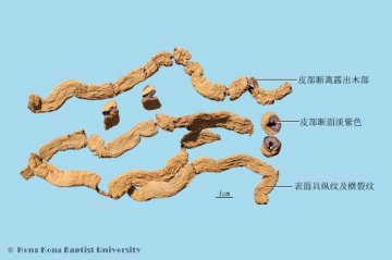 巴戟天（Bajitian）中药材鉴别照片