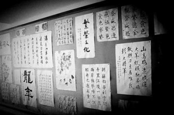 关爱老人，做一天“聆听志愿者”