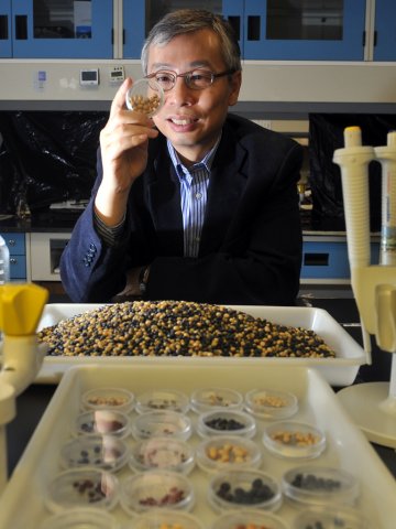破解抗逆基因 将大豆带回家