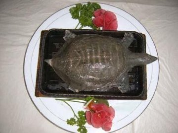 揭秘中国八大著名禁菜