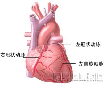 心脏搭桥手术