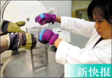 广东精子库闹“饥荒” 硕士博士成捐精主力
