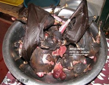 防癌神仙汤引争议 稀奇古怪食物盘点—红烧蝙蝠