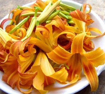 能吃死人的11种常见食物