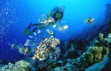 科学家在海底发现古老细菌 8600万年未曾进食
