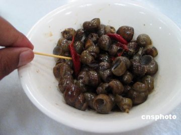 广州叫停生食福寿螺 生食鱼虾现象仍较普遍