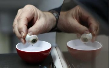 医学探秘：人工眼球制作全过程