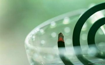 细数蚊子最怕的6种味道