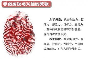 图说：从指纹看你的身体健康和性格