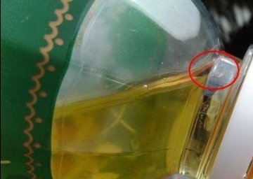 康师傅茉莉清茶惊现死苍蝇 售后太差