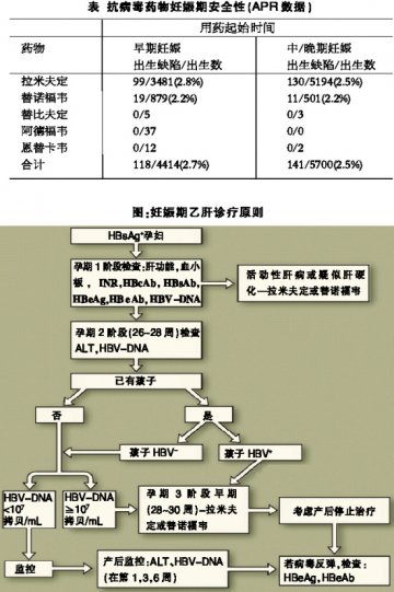 孕期抗HBV：风险慎衡量