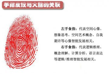 图说：从指纹看你的身体健康和性格