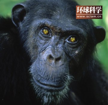 《环球科学》杂志：预测下一场全球流行病