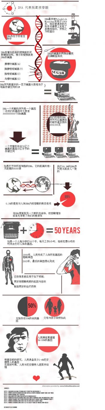 信息图：关于DNA你不可不知的17件事情