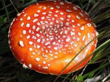 食品商永远不会说的11个秘密