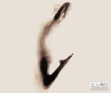 人体探秘：女性裸体与解剖学之美