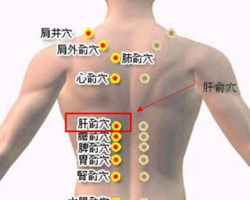这5类高危人群易患肝癌