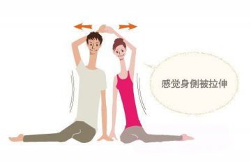 肋骨延长式