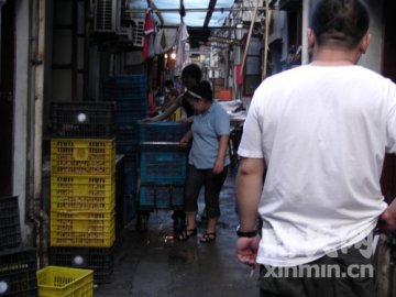 目击龙虾“制造” 肮脏作坊潜弄堂深处