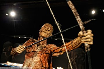 俄举办极具争议防腐人体展