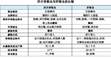 “绿巨人”频现，胆汁淤积“闯祸”