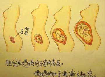 香港最受欢迎的儿童性教育图片