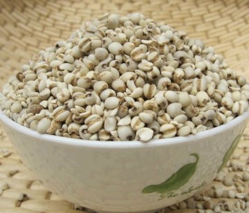 中医养生：补气血必吃的三种食物