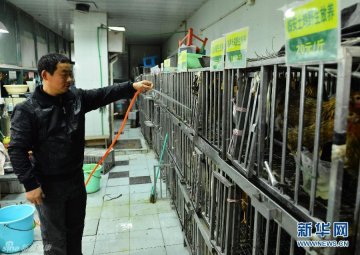 17.杭州市万寿亭农贸市场，摊贩对存栏活禽消毒