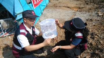 任东升：跑遍8个社 做好震后安置点的媒介生物评估工作