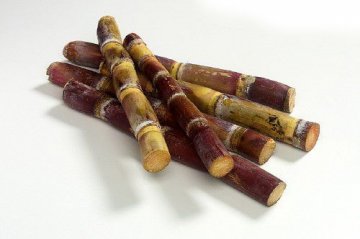 吃14种家常食物易中毒身亡 看看你常吃吗？