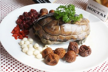 春季养生：七个除湿食疗方
