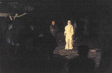 25头肉牛数小时内离奇死亡 养殖户疑遭投毒报警