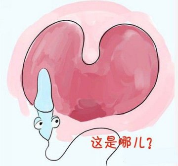 医学趣读：“精子先生”的15种悲催死法