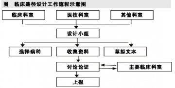 开展临床路径的过程