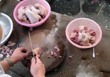 黑幕：死老鼠变身乳鸽