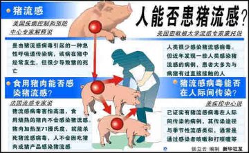 人感染猪流感的症状及预防