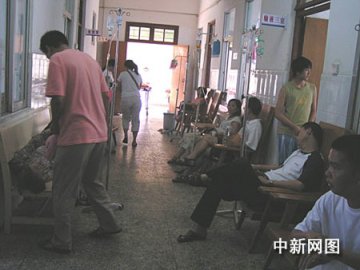 广东茂名40多人中秋之夜被毒田螺放倒