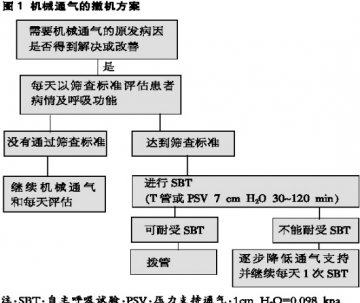 撤离呼吸机：不可太随意