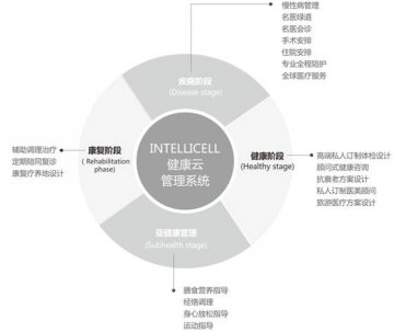茵特里国际医疗：高端防癌筛查领航者