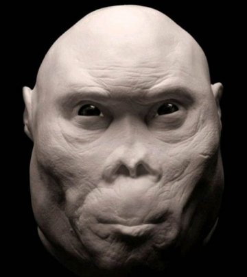 揭秘700万年前人类面部图