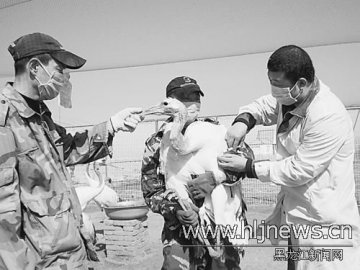 我省排兵布阵强制免疫百分百应对动物疫情